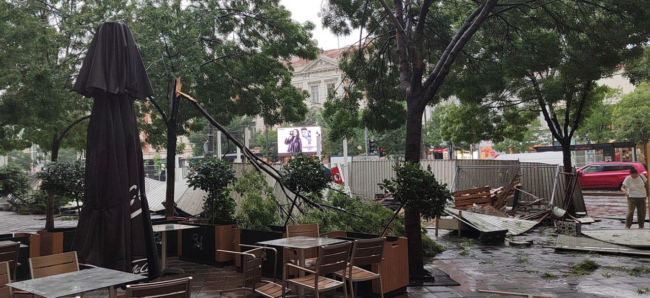 Stürme in ganz Serbien Eine Person verletzt der Wind trug Bäume und