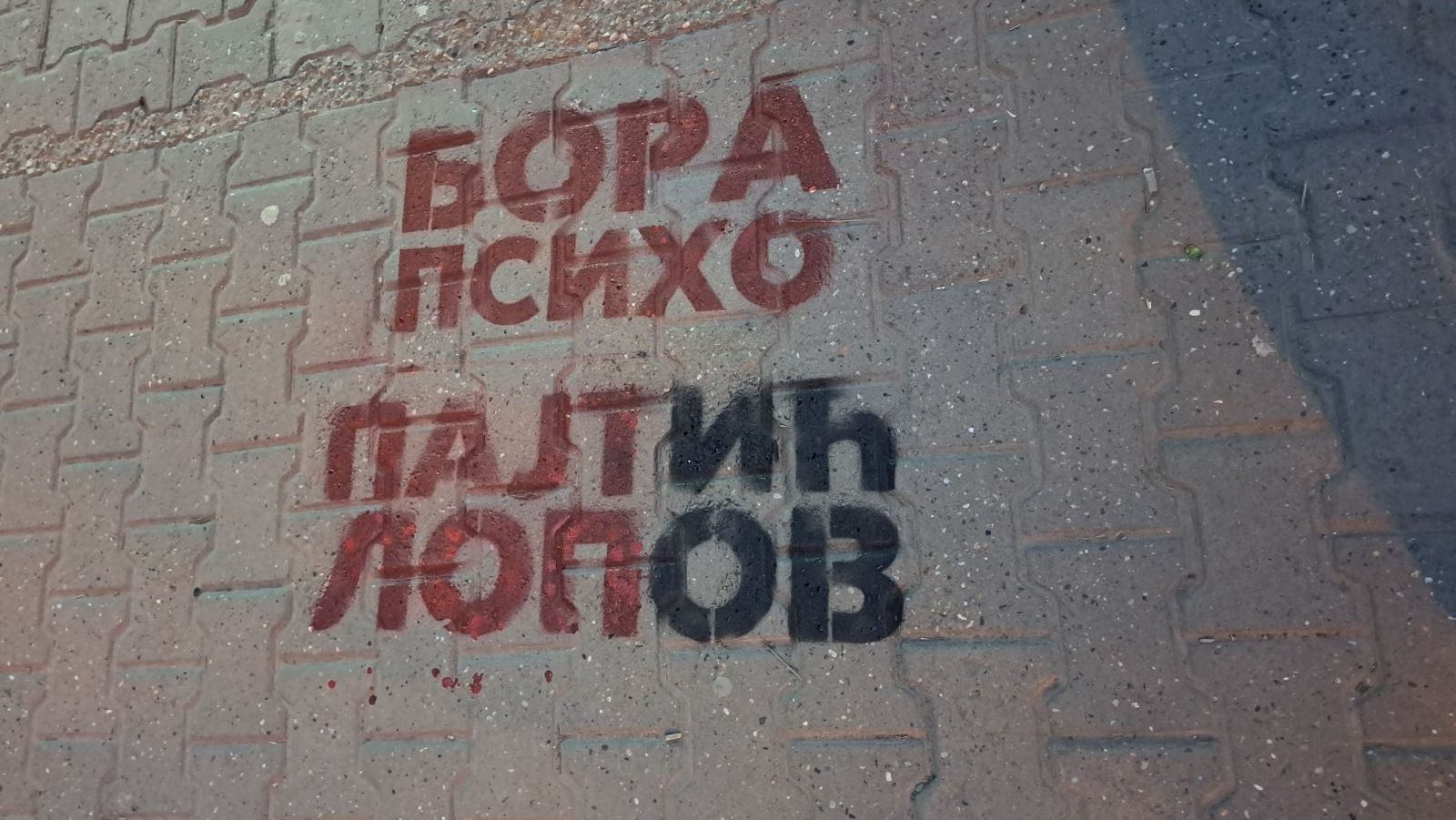 Progon Grafitima: Narodni poslanik Borislav Novaković (NS) i Bojan Pajtić