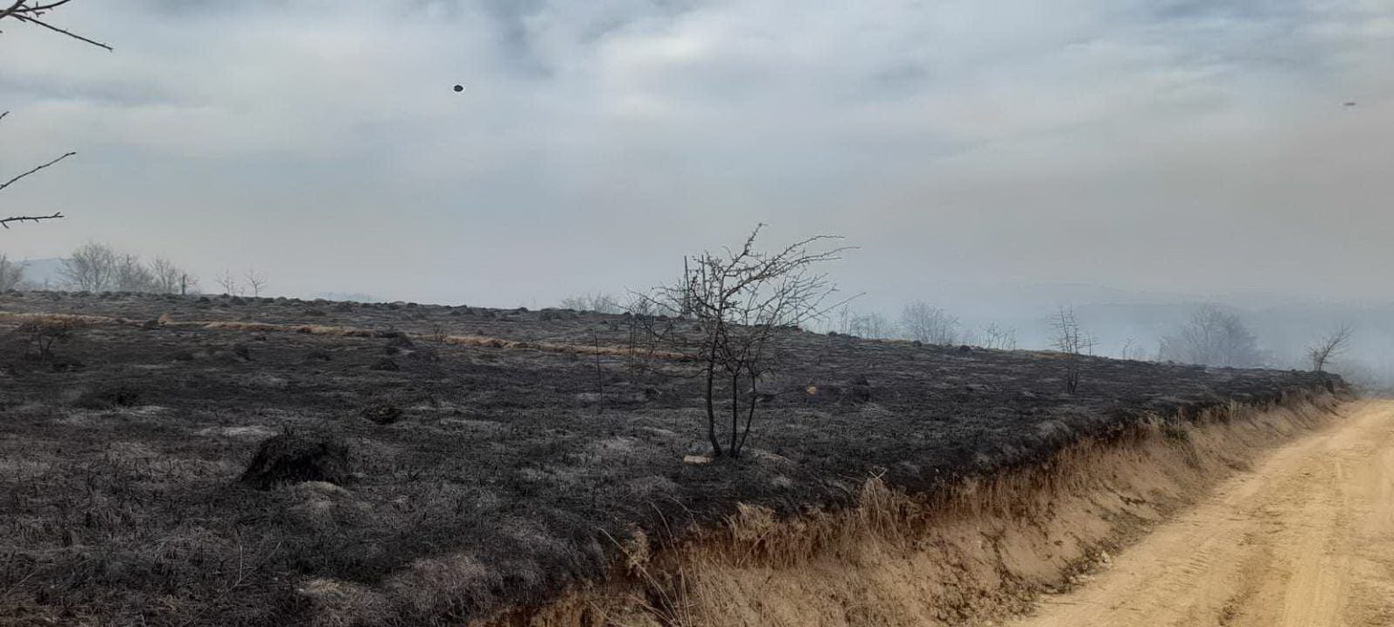 Na Homolju izgorelo 200 hektara površine.