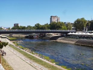 Ne zna se gde su tačno posađena stabla koja su ozelenila Niš