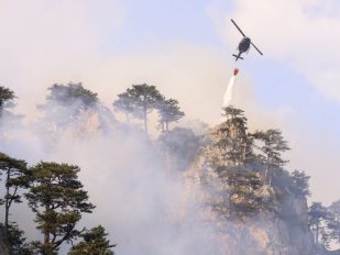 Požar u Nacionalnom parku Sutjeska