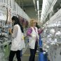 Fabrika Leoni u Malošištu u blizini Niša