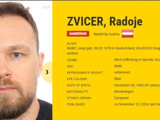 Radoje Zvicer