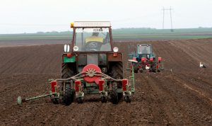 Dva traktora sa tanjiračom na njivi