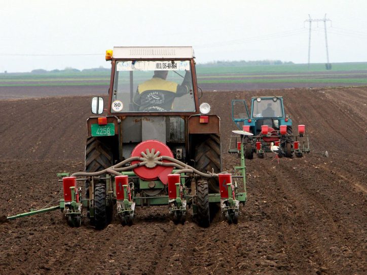 Dva traktora sa tanjiračom na njivi