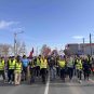 Studentska šetnja Beograd - Novi Sad