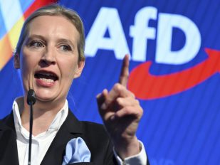 Alis Vajdel, kopredsednica AfD-a