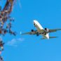 Avion u letu
