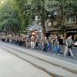 Vidovdanski protest