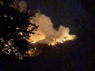 Požar u okolini Aleksandrovca