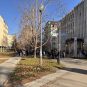 Kampus u Novom Sadu