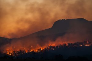 Sve češći požari: Još jedna posledica ekstremnih temperatura