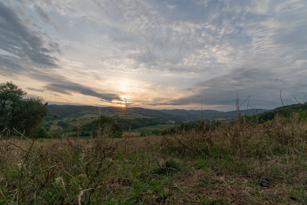 Šumadija ima brojna sveta stabla - zapise
