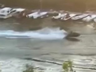 Vozač skutera divlja na Tamišu