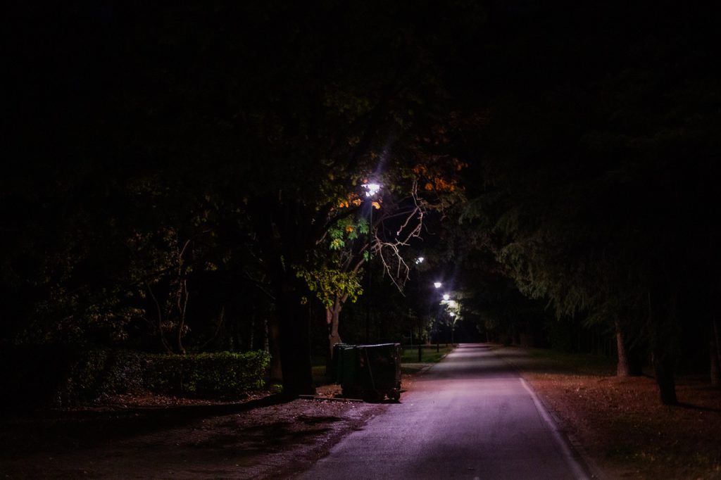 Ada Ciganlija rasveta