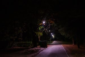 Ada Ciganlija rasveta