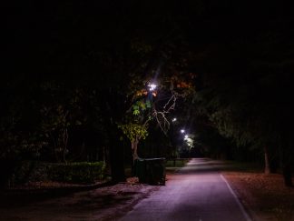 Ada Ciganlija rasveta
