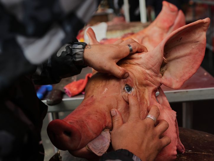 Svinja na pijaci u Meksiku pred novogodišnju noć