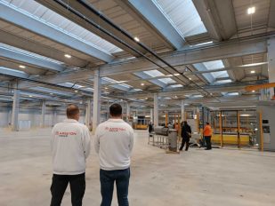 Ekonomista Goran Radosavljević za „Vreme“ objašnava - investitori u Srbiju više uopšte neće da dođu ako im ne date mnogo para.