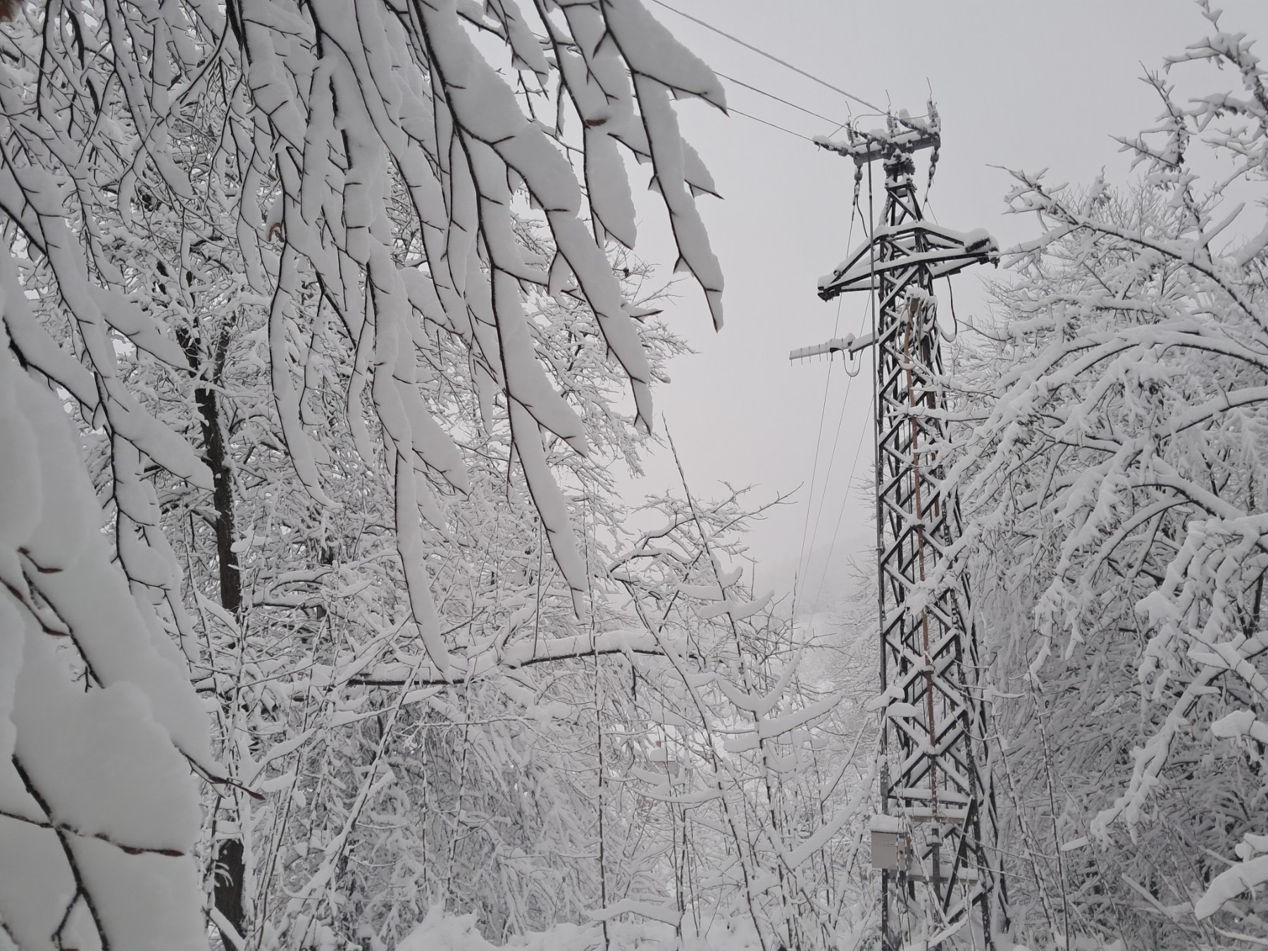 Dalekovod zavejan snegom