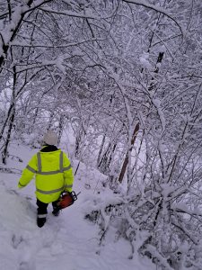 Radnik EDS-a u zavejanoj šumi