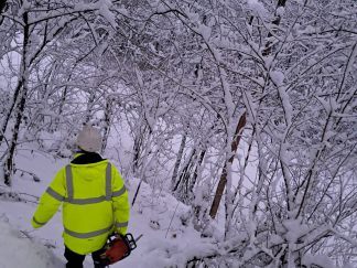 Radnik EDS-a u zavejanoj šumi