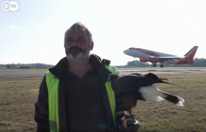 Čovek drži mišara na ruci dok iza njih uzleće avion