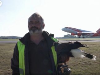 Čovek drži mišara na ruci dok iza njih uzleće avion