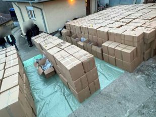 Rekordna zaplena marihuane u Srbiji