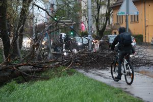 Kataklizma u Evropi: Snežna oluja, vetrovi preko sto kilometara na sat