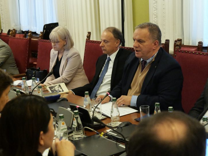 Dejan Vuk Stanković, Vladan Đokić, sednica odbora za obrazovanje