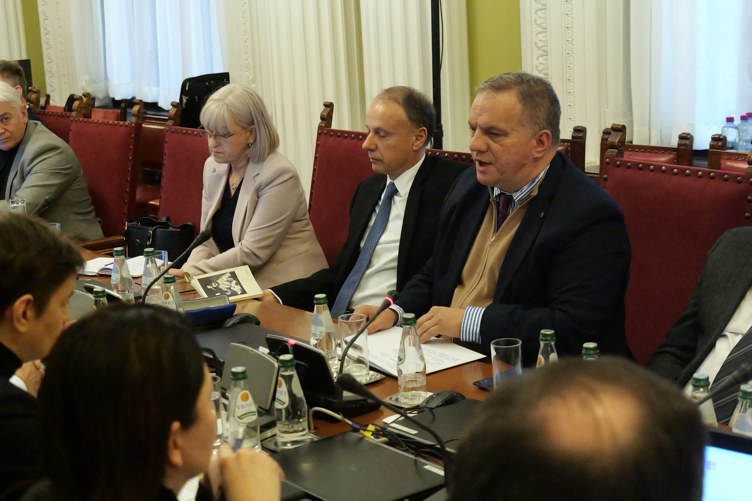 Dejan Vuk Stanković, Vladan Đokić, sednica odbora za obrazovanje