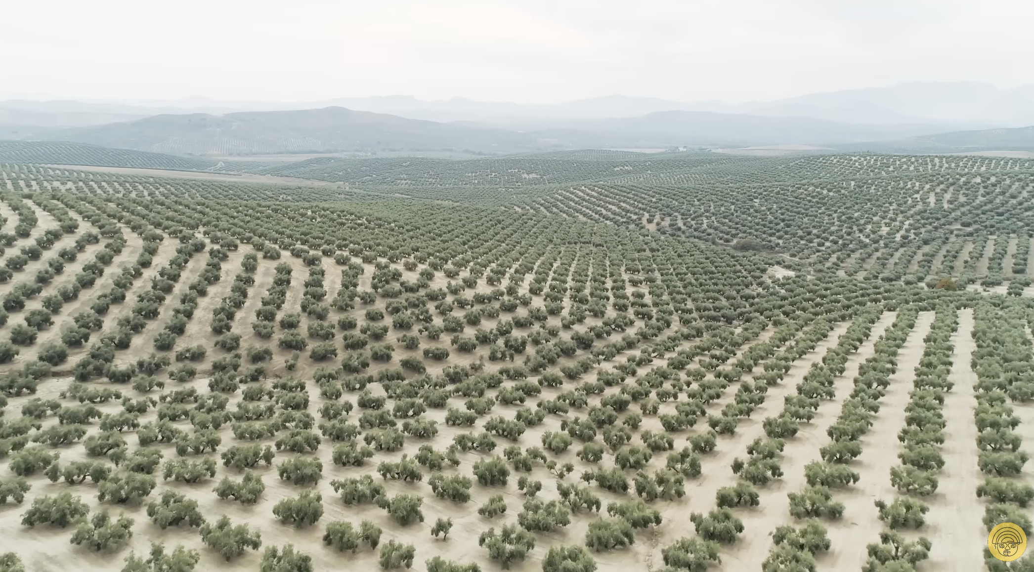 Veliki kineski zeleni zid