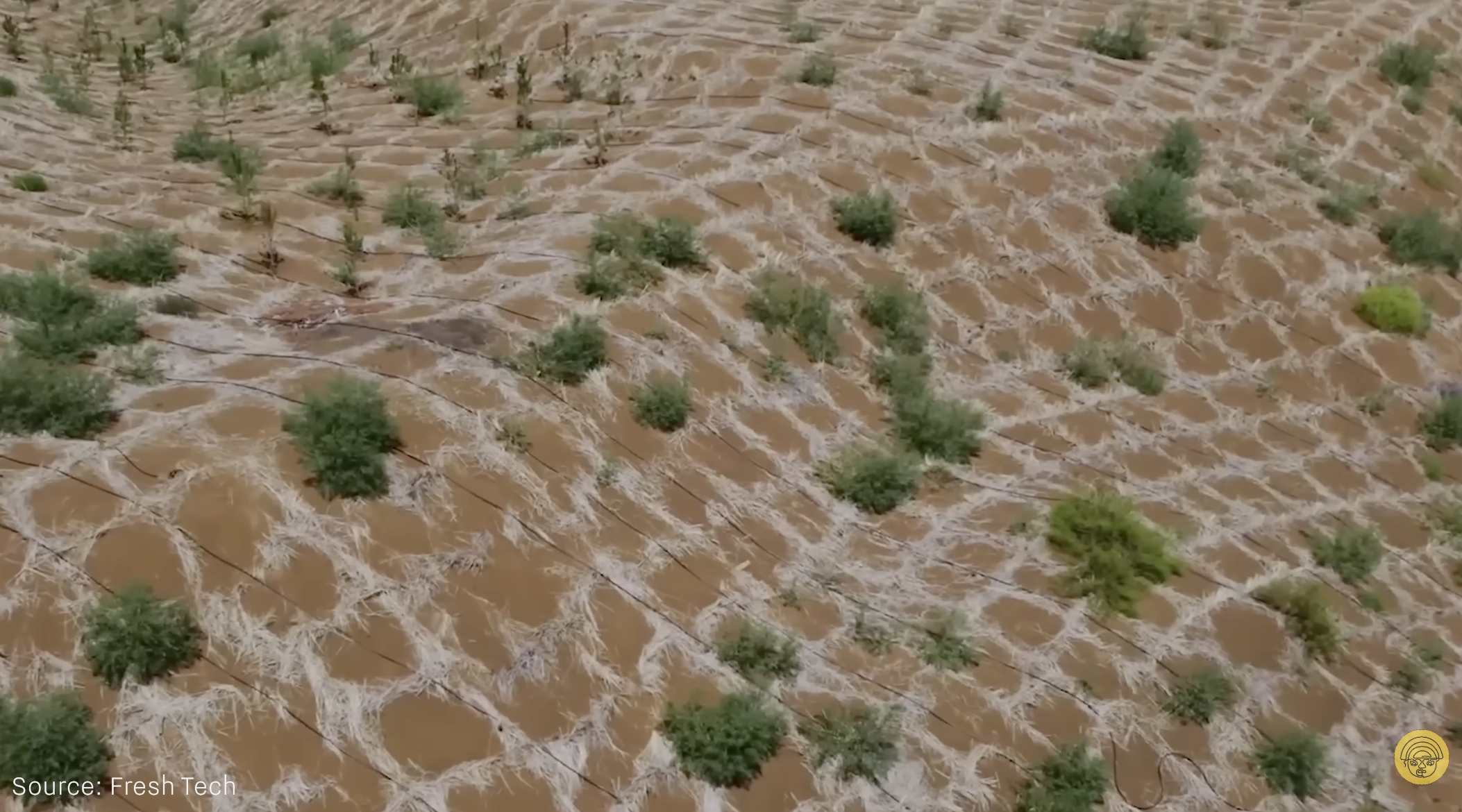 Veliki kineski zeleni zid