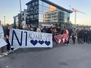 Sadlerovo sedlo za N1, Novu i ostale