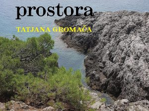 Zapis(nic)i pasionirane čitateljice