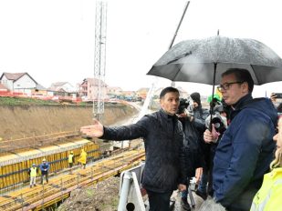 Vučić i Mali