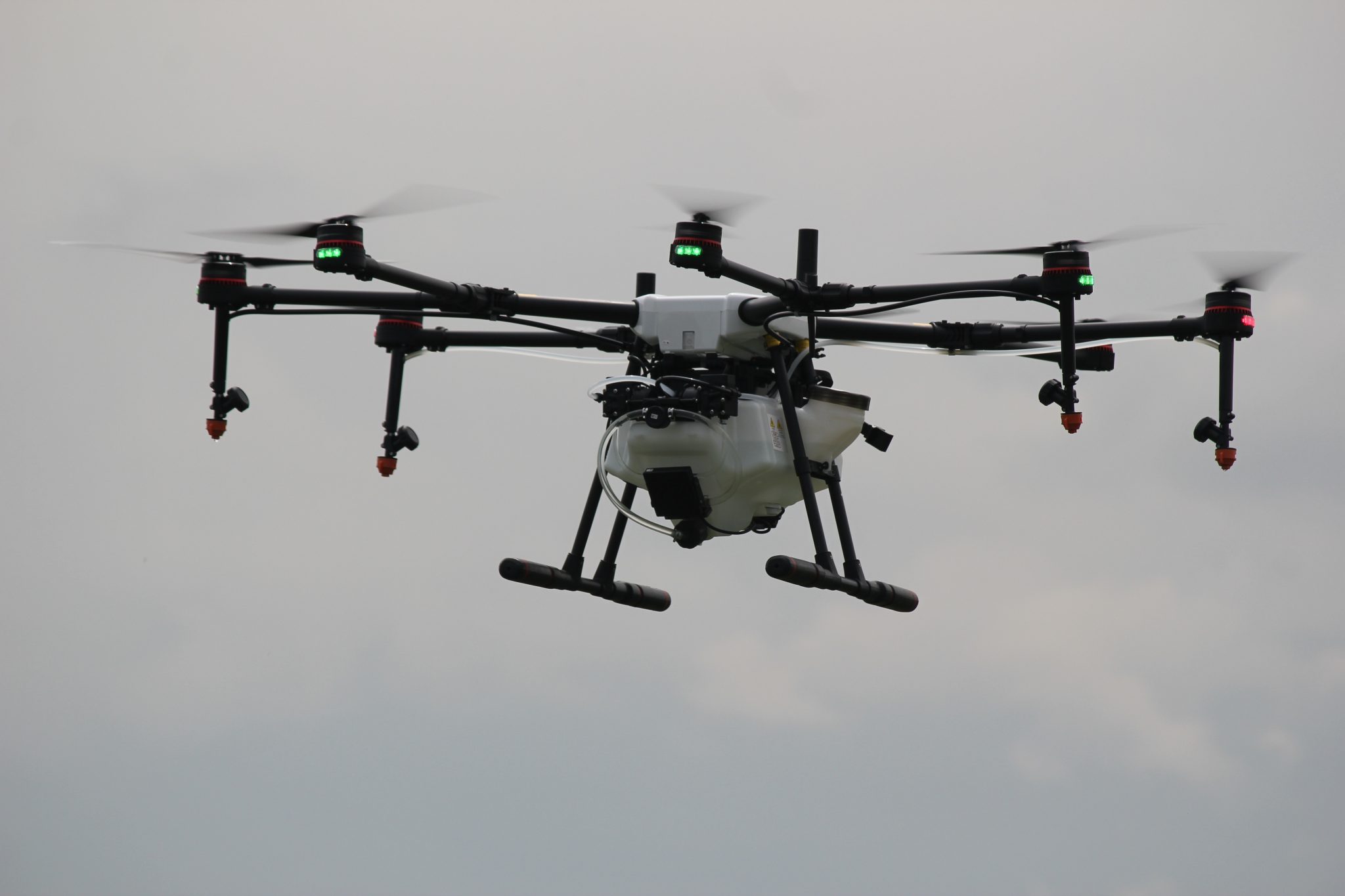 Dron