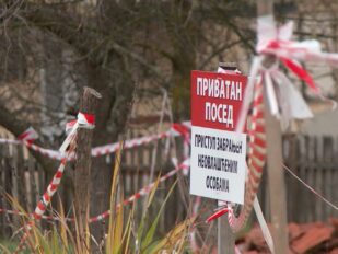 Горне Неделице