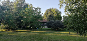 Košenje