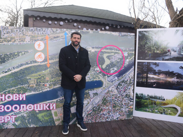 Šapić