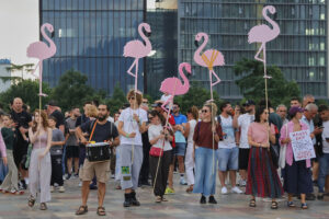 Flamingo revolucija u Albaniji