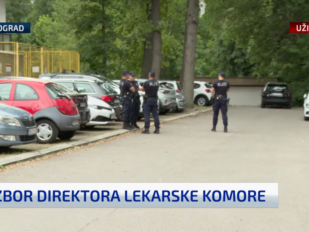 policija, Lekarska komora Srbije