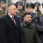 Karol Navrocki i Volodimir Zelenski