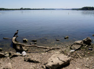 Istorijski niski vodostaj Dunava – ugroženo funkcionisanje sistema Dunav–Tisa–Dunav