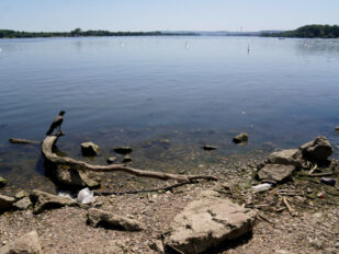 Dunav