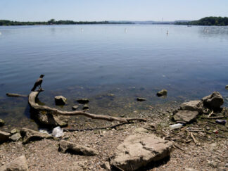 Dunav