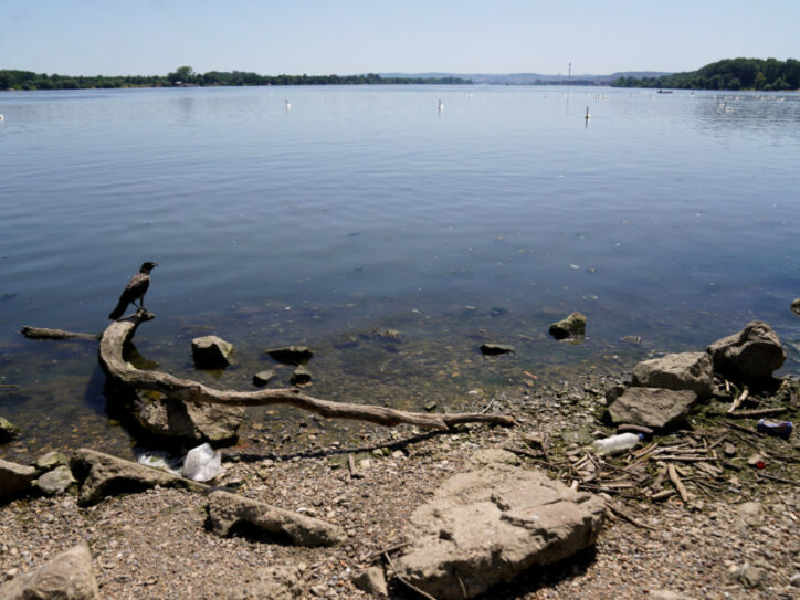 Dunav