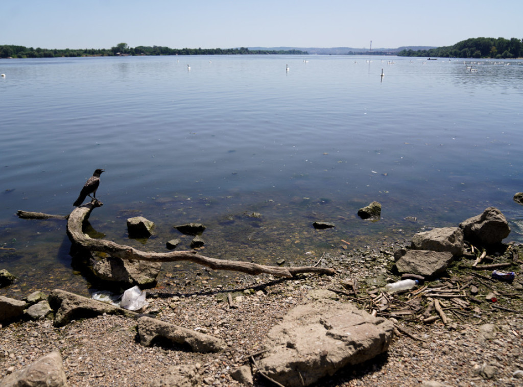 Dunav