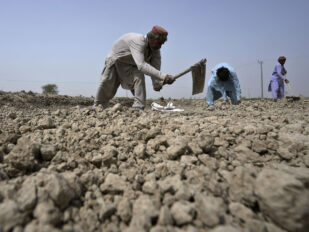 Pakistan